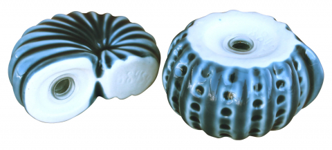 Salz-/Pfefferstreuer - Muscheln