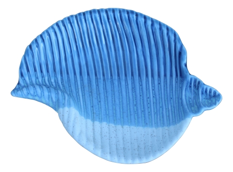 Platte - Muschel