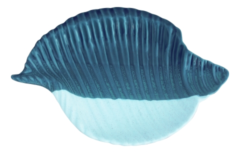 Platte - Muschel