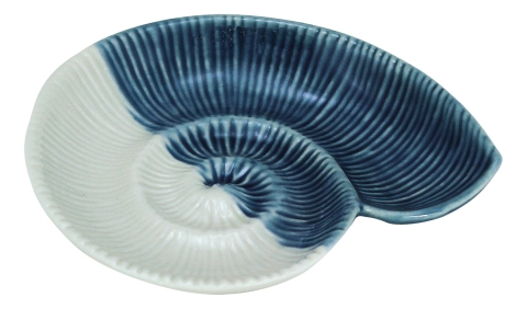 Schnecken-Schale