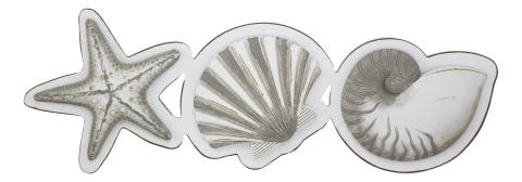 Wand-Deko - Seestern, Muschel, Schnecke