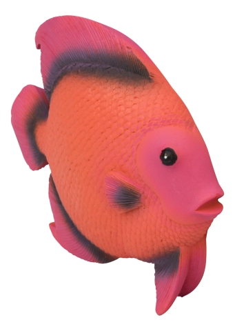 Wand-Deko - Fisch