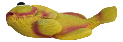 Wand-Deko - Fisch