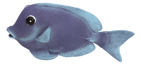 Wand-Deko - Fisch