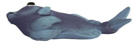 Wand-Deko - Fisch