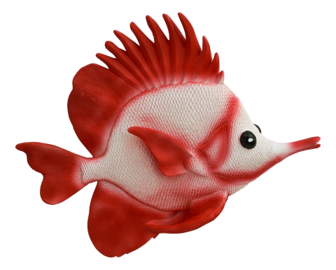 Wand-Deko - Fisch