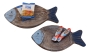 Schalen - Fisch