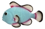 Deko-Fisch
