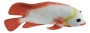 Deko-Fisch