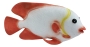 Deko-Fisch