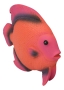 Wand-Deko - Fisch