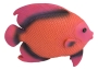 Wand-Deko - Fisch