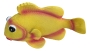 Wand-Deko - Fisch