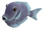 Wand-Deko - Fisch