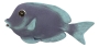 Wand-Deko - Fisch