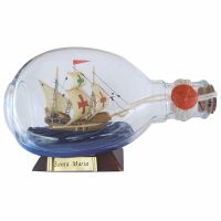 Bottle-ship