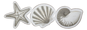 Wand-Deko - Seestern, Muschel, Schnecke