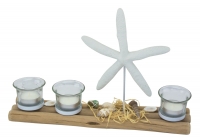 Tealights with seastar and shells on drifted wood