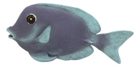 Wall-deco - Fish